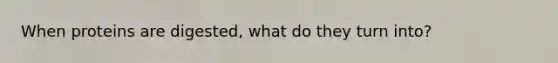 When proteins are digested, what do they turn into?