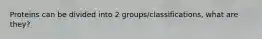 Proteins can be divided into 2 groups/classifications, what are they?