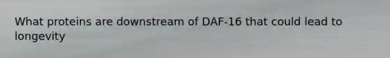 What proteins are downstream of DAF-16 that could lead to longevity