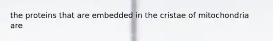 the proteins that are embedded in the cristae of mitochondria are