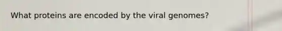 What proteins are encoded by the viral genomes?