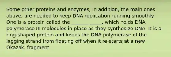 Some other proteins and enzymes, in addition, the main ones above, are needed to keep DNA replication running smoothly. One is a protein called the _______ _____, which holds DNA polymerase III molecules in place as they synthesize DNA. It is a ring-shaped protein and keeps the DNA polymerase of the lagging strand from floating off when it re-starts at a new Okazaki fragment