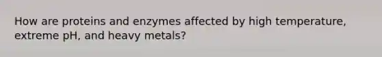 How are proteins and enzymes affected by high temperature, extreme pH, and heavy metals?