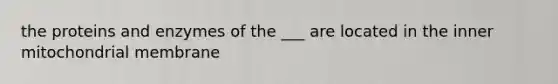 the proteins and enzymes of the ___ are located in the inner mitochondrial membrane