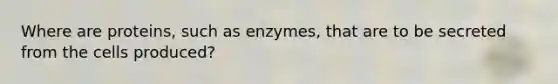 Where are proteins, such as enzymes, that are to be secreted from the cells produced?