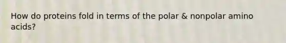 How do proteins fold in terms of the polar & nonpolar <a href='https://www.questionai.com/knowledge/k9gb720LCl-amino-acids' class='anchor-knowledge'>amino acids</a>?