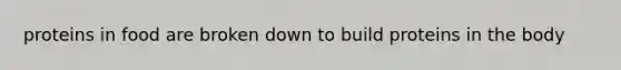 proteins in food are broken down to build proteins in the body