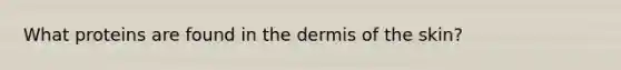 What proteins are found in the dermis of the skin?