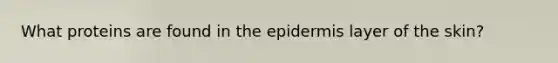 What proteins are found in the epidermis layer of the skin?