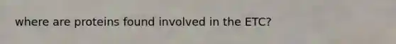 where are proteins found involved in the ETC?