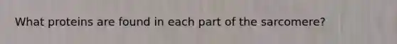 What proteins are found in each part of the sarcomere?