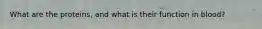 What are the proteins, and what is their function in blood?