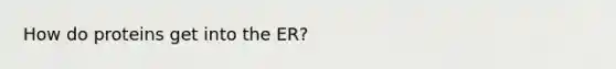 How do proteins get into the ER?