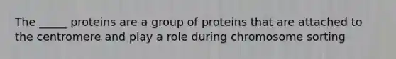 The _____ proteins are a group of proteins that are attached to the centromere and play a role during chromosome sorting