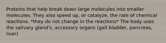 Proteins that help break down large molecules into smaller molecules. They also speed up, or catalyze, the rate of <a href='https://www.questionai.com/knowledge/kc6NTom4Ep-chemical-reactions' class='anchor-knowledge'>chemical reactions</a>. *they do not change in the reactions* The body uses the salivary gland's, accessory organs (gall bladder, pancreas, liver)