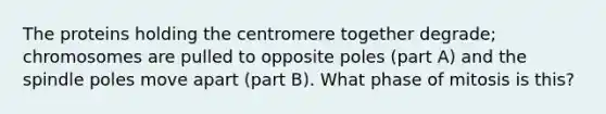 The proteins holding the centromere together degrade; chromosomes are pulled to opposite poles (part A) and the spindle poles move apart (part B). What phase of mitosis is this?