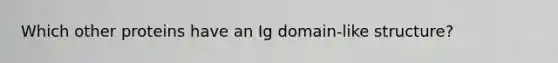 Which other proteins have an Ig domain-like structure?