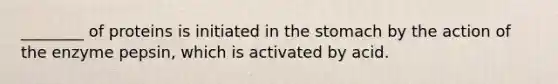 ________ of proteins is initiated in the stomach by the action of the enzyme pepsin, which is activated by acid.