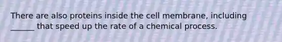 There are also proteins inside the cell membrane, including ______ that speed up the rate of a chemical process.