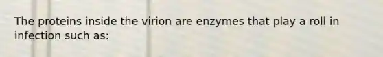 The proteins inside the virion are enzymes that play a roll in infection such as: