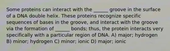 Some proteins can interact with the ______ groove in the surface of a DNA double helix. These proteins recognize specific sequences of bases in the groove, and interact with the groove via the formation of ______ bonds; thus, the protein interacts very specifically with a particular region of DNA. A) major; hydrogen B) minor; hydrogen C) minor; ionic D) major; ionic