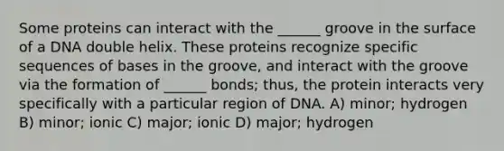 Some proteins can interact with the ______ groove in the surface of a DNA double helix. These proteins recognize specific sequences of bases in the groove, and interact with the groove via the formation of ______ bonds; thus, the protein interacts very specifically with a particular region of DNA. A) minor; hydrogen B) minor; ionic C) major; ionic D) major; hydrogen