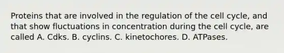 Proteins that are involved in the regulation of the cell cycle, and that show fluctuations in concentration during the cell cycle, are called A. Cdks. B. cyclins. C. kinetochores. D. ATPases.