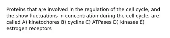 Proteins that are involved in the regulation of the cell cycle, and the show fluctuations in concentration during the cell cycle, are called A) kinetochores B) cyclins C) ATPases D) kinases E) estrogen receptors