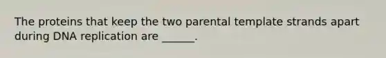 The proteins that keep the two parental template strands apart during <a href='https://www.questionai.com/knowledge/kofV2VQU2J-dna-replication' class='anchor-knowledge'>dna replication</a> are ______.