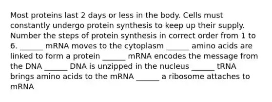 Most proteins last 2 days or less in the body. Cells must constantly undergo protein synthesis to keep up their supply. Number the steps of protein synthesis in correct order from 1 to 6. ______ mRNA moves to the cytoplasm ______ amino acids are linked to form a protein ______ mRNA encodes the message from the DNA ______ DNA is unzipped in the nucleus ______ tRNA brings amino acids to the mRNA ______ a ribosome attaches to mRNA