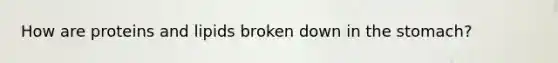 How are proteins and lipids broken down in the stomach?