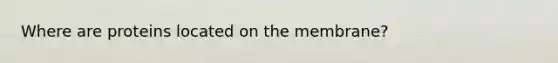 Where are proteins located on the membrane?