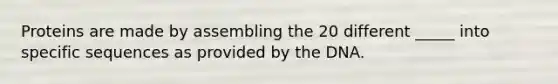 Proteins are made by assembling the 20 different _____ into specific sequences as provided by the DNA.