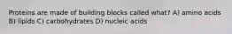 Proteins are made of building blocks called what? A) amino acids B) lipids C) carbohydrates D) nucleic acids