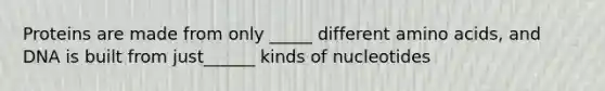 Proteins are made from only _____ different amino acids, and DNA is built from just______ kinds of nucleotides