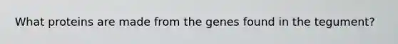 What proteins are made from the genes found in the tegument?