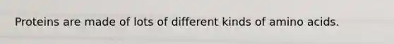 Proteins are made of lots of different kinds of amino acids.