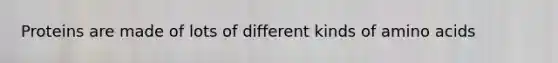 Proteins are made of lots of different kinds of amino acids