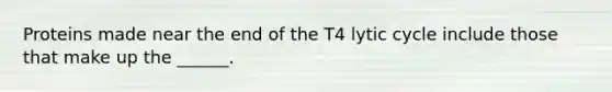 Proteins made near the end of the T4 lytic cycle include those that make up the ______.