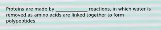 Proteins are made by ______________ reactions, in which water is removed as amino acids are linked together to form polypeptides.