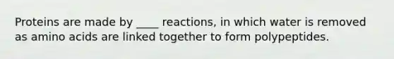 Proteins are made by ____ reactions, in which water is removed as amino acids are linked together to form polypeptides.