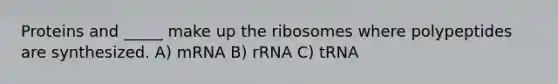 Proteins and _____ make up the ribosomes where polypeptides are synthesized. A) mRNA B) rRNA C) tRNA