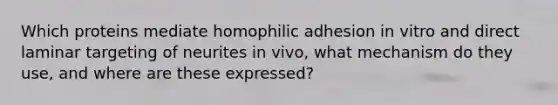 Which proteins mediate homophilic adhesion in vitro and direct laminar targeting of neurites in vivo, what mechanism do they use, and where are these expressed?