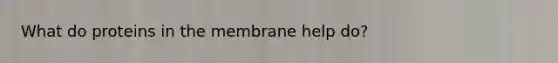 What do proteins in the membrane help do?