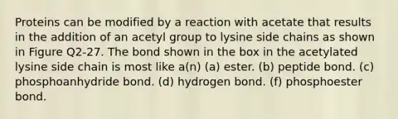 Proteins can be modified by a reaction with acetate that results in the addition of an acetyl group to lysine side chains as shown in Figure Q2-27. The bond shown in the box in the acetylated lysine side chain is most like a(n) (a) ester. (b) peptide bond. (c) phosphoanhydride bond. (d) hydrogen bond. (f) phosphoester bond.