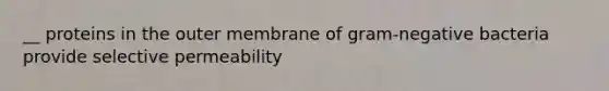 __ proteins in the outer membrane of gram-negative bacteria provide selective permeability