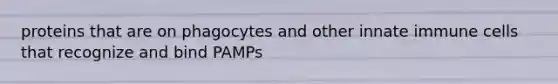 proteins that are on phagocytes and other innate immune cells that recognize and bind PAMPs