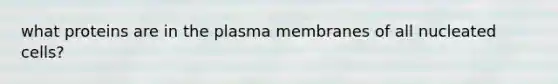 what proteins are in the plasma membranes of all nucleated cells?