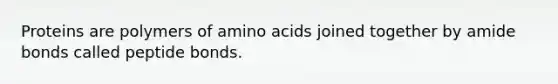 Proteins are polymers of amino acids joined together by amide bonds called peptide bonds.