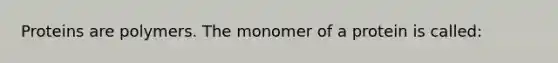 Proteins are polymers. The monomer of a protein is called: